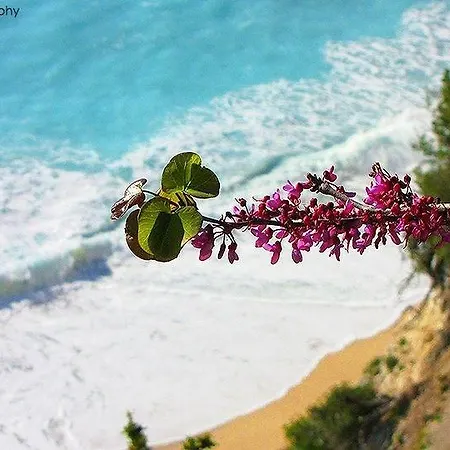 アパートホテル Grand Nefeli 4*